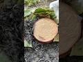 Skill in making yogurt by burning milk #camping #bushcraft #survival #facts #skills #lifehacks