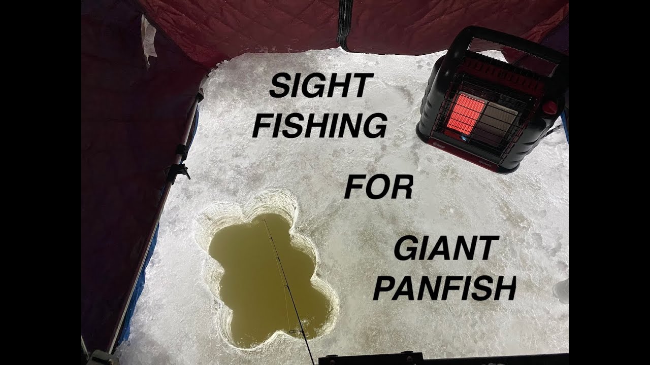 SIGHT FISHING for Massive Panfish (Ice Fishing 2020) YouTube