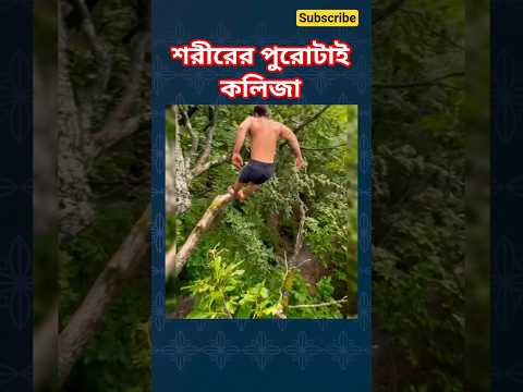 الكبد هو الجسم كله 