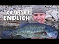 Angeln auf Schwarzbarsch mit Chebu und Krebse am Ebro | Forellenbarsch / Black Bass