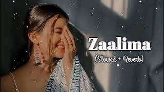 Zaalima (Slowed & Reverb) Lofi song | Morning 💗❤️