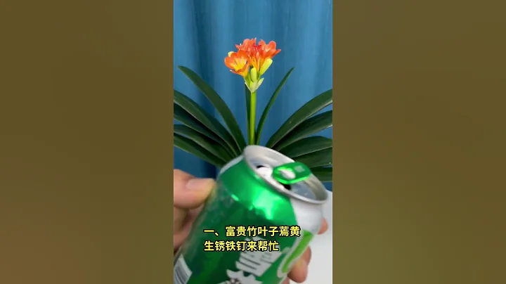 #分享家庭養花小常識 拯救家庭枯萎綠植的五個小妙招 #綠植花卉 #shorts - 天天要聞