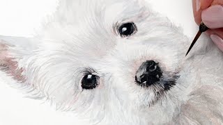 How to Paint a Realistic White Westie Dog in Watercolor