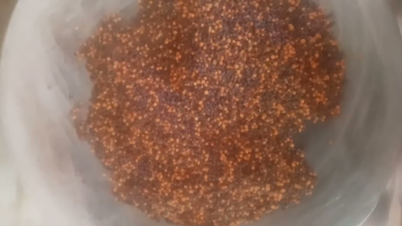 Hari mirch ka Achar recipe 🌶️🙏🙏🙏🙏🙏