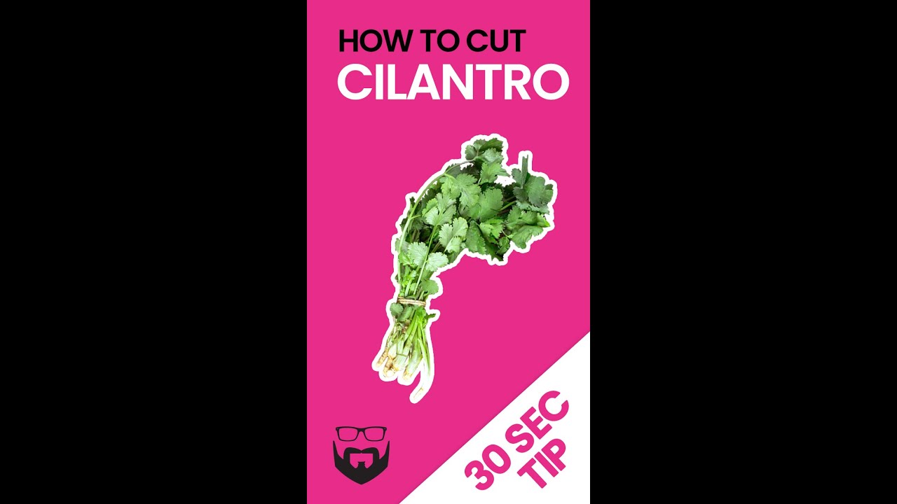 How to Cut Cilantro 