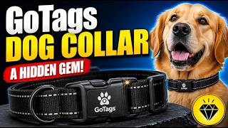 GoTags Stainless Steel Pet ID Tags - Better Than Expected