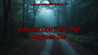 Coyotes Don’t Do That. Dogmen Do! - Dogman Encounters Episode 572