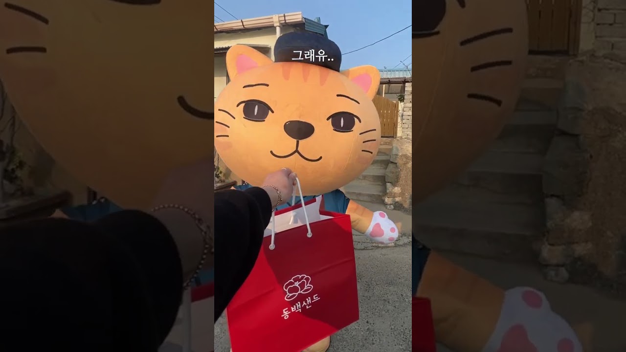 동백씨 어디가유~ 황용식이가 왔어유 #shorts #구룡포 #동백꽃필무렵 #까멜리아 #포항