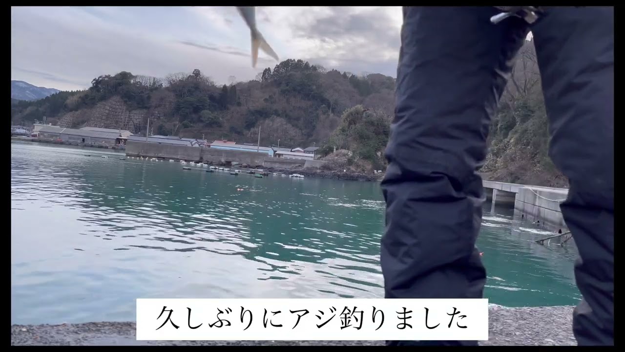 鳥取 冬 アジング実釣 Youtube