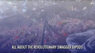 Celebrity All About The Revolutionary Swagger Bipods Net Worth