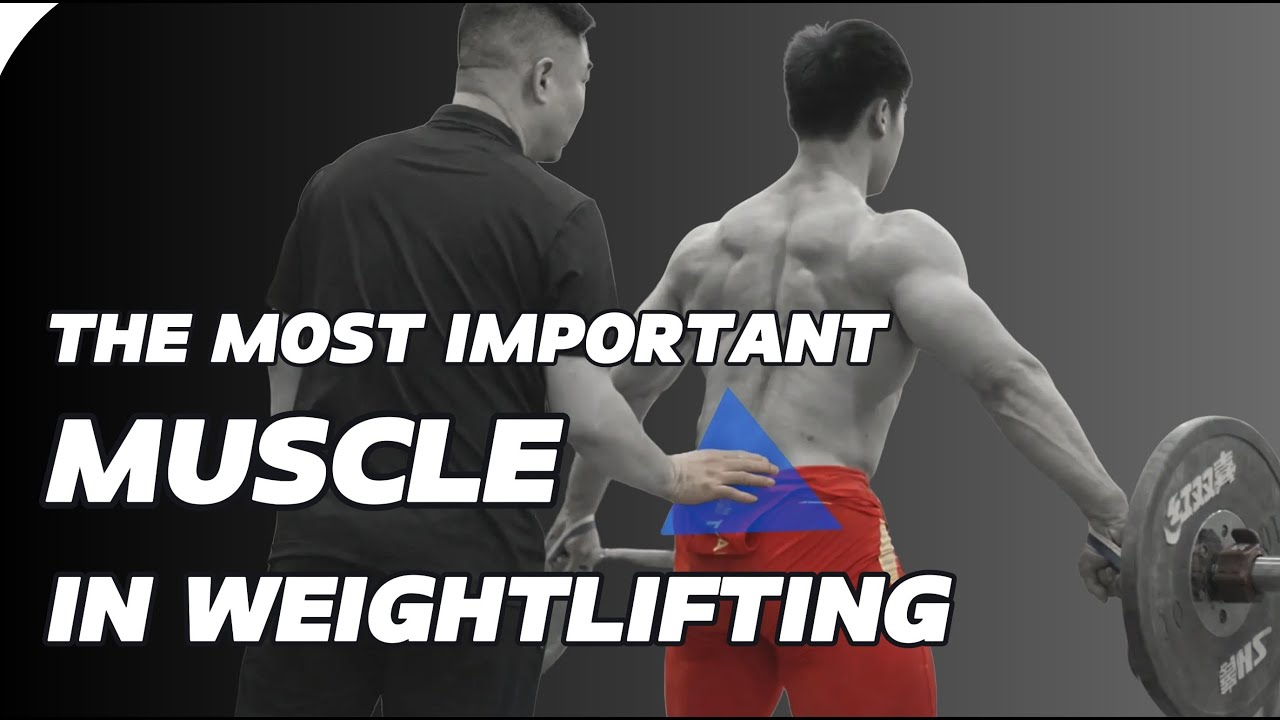The Most Important Muscle in Weightlifting