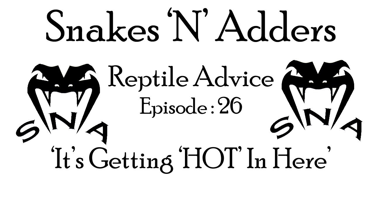 camera iphone 8 plus apk Snakes 'N' Adders Reptile Advice : Episode - 26 (It's getting 'HOT' in here!)