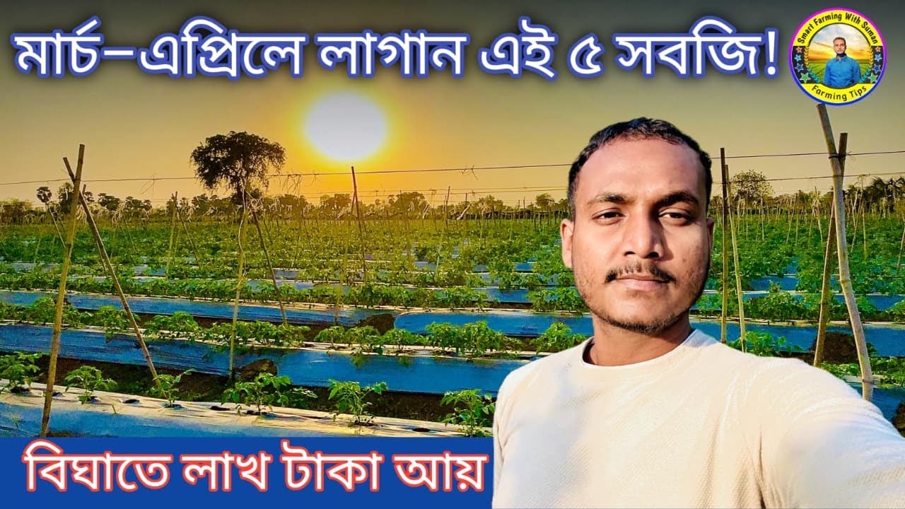 গরমের আগে চাষ করুন! বসন্তের সেরা ৫ সবজি Summer Vegetables to Grow (Bangla Guide)