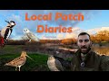 Local patch diaries sunday evening barn owls