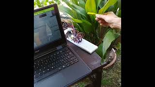 Can an houseplant play music Sonification experiment