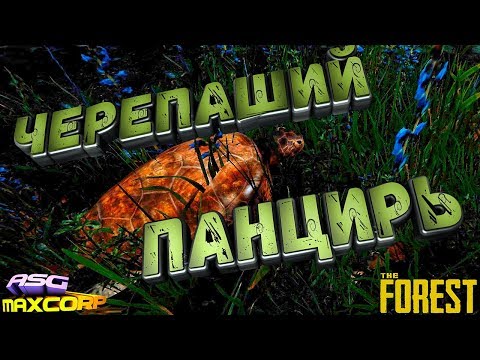 THE FOREST #7 - ЧЕРЕПАШИЙ ПАНЦИРЬ