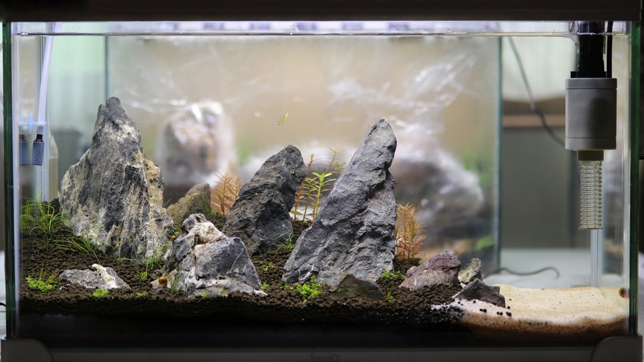 簡単な石組みレイアウト水槽の立ち上げ 英石 Start Up Of Simple Rockwork Layout Aquarium British Stone Youtube