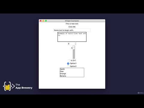 Buttons, Entry, and Setting Component Options | 100 Days of Code: The Complete Python Pro Bootcamp