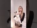 Rina ❣️ 愛 mi gatito 🐈❓