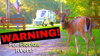 Florida RVers Beware! (Avoid Parking Here) Cheap RV Overnight Parking