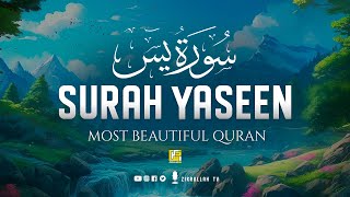 Best Surah Yasin سورة يس | This Will Touch Your Heart إن شاء الله | Zikrullah Tv