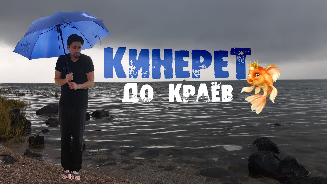 Отдых с детьми в Израиле: Кинерет до краёв или как нас смыло