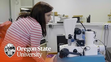 Next Generation Materials