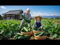 You Won’t Believe This Zucchini Harvest | Peaceful Farm Life in Japan