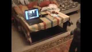 Kinect on Windows 7