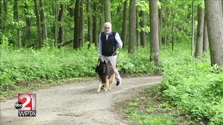 PREVIEW: Belgian Tervuren, handler prepare for Westminster Dog Show with COVID-19 precautions