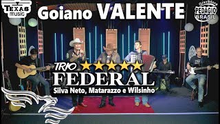 Goiano Valente - TRIO FEDERAL (Gravado em Estúdio - Silva neto, Matarazzo e Wilsinho)