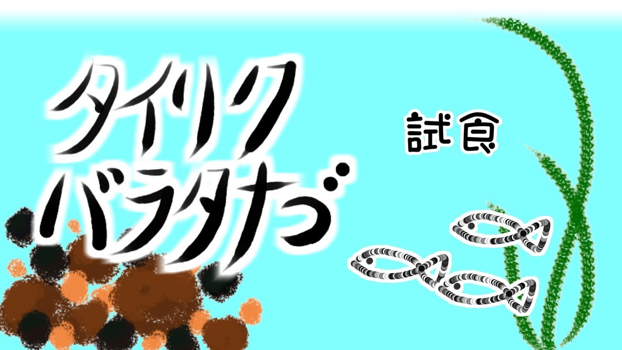 ガサガサとは タイリクバラタナゴ　試食