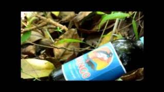 kecap bango (versi fisip unlam komunikasi advertising 2010)