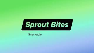 How to Connect Your Instagram Account to Sprout Social |Sprout Bites