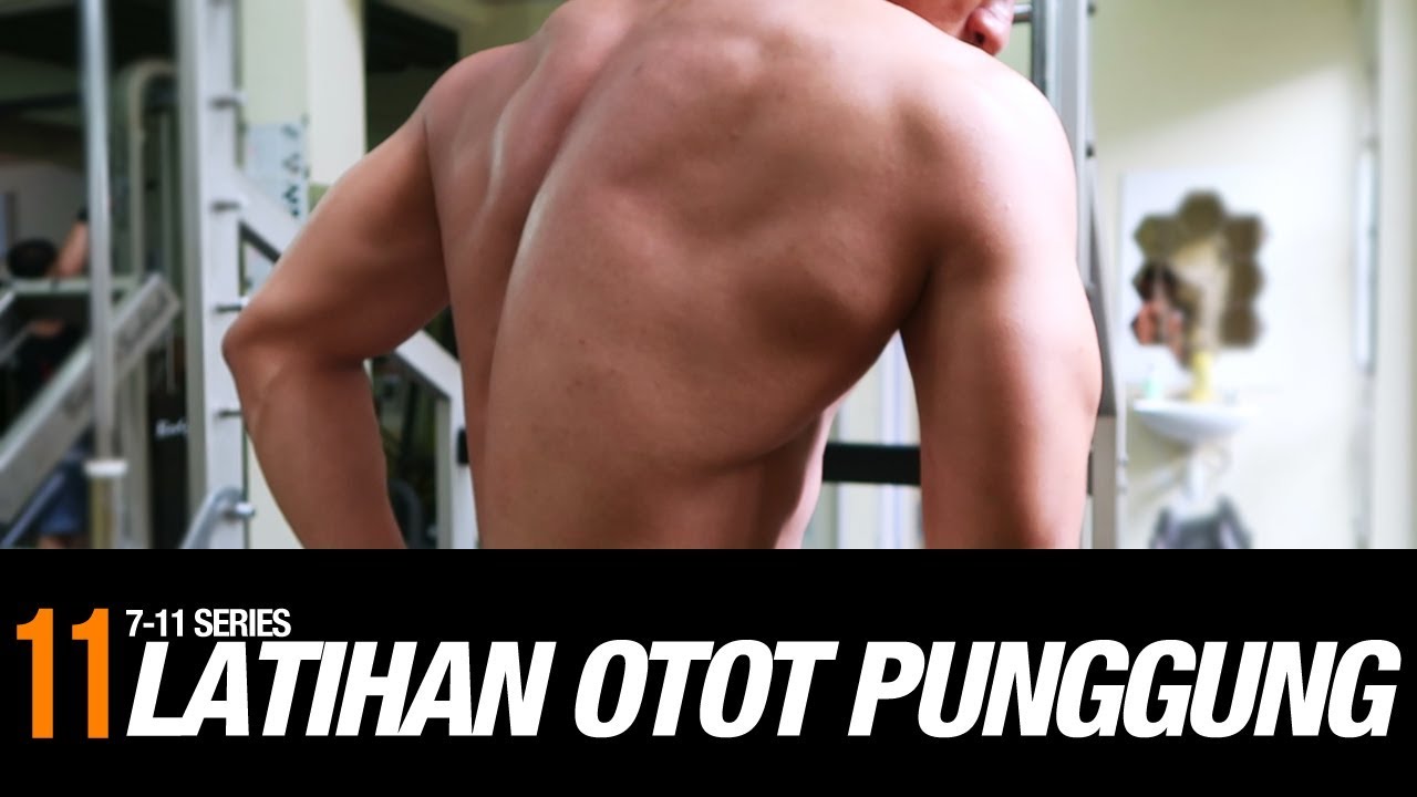11 LATIHAN OTOT PUNGGUNG / SAYAP