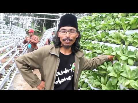 Gus Amin iJombangi Belajar iHidroponiki di MaksiPlus Cibubur Gus Amin iJombangi Belajar iHidroponiki di MaksiPlus Cibubur