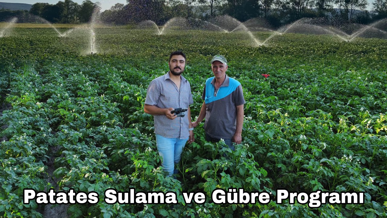 2025 PATATES SULAMA VE GÜBRE PROGRAMI