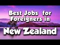 Top 15 Best Job Opportunities for Foreigners in New Zealand