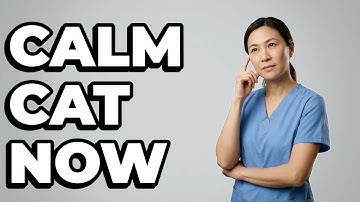 How Do I Stop My Cat