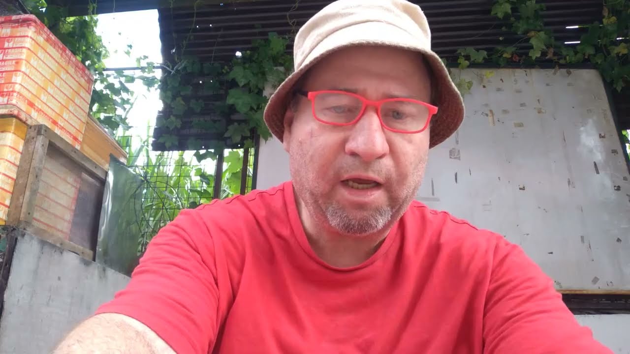 Просто ещё один Samsung A11