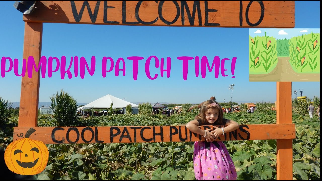 worlds-biggest-corn-maze-pumpkinpatch-guinnessworldrecords