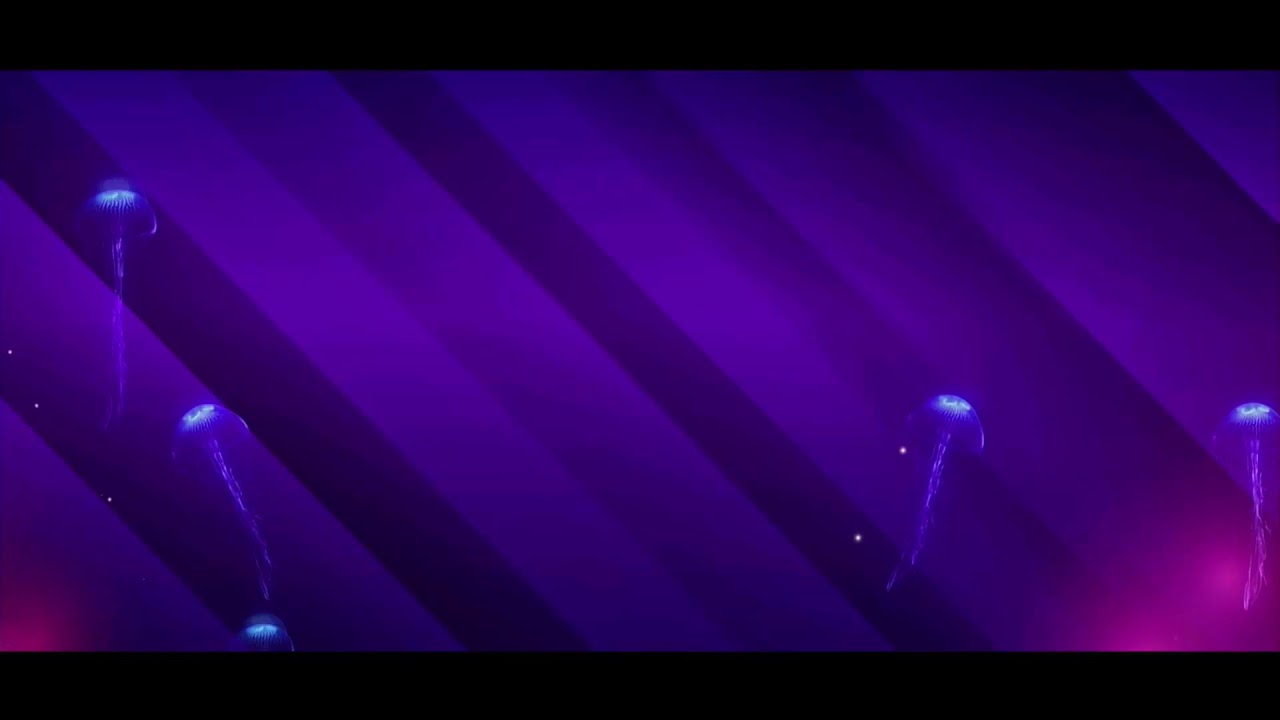 Stukka Digital Creative Live Stream