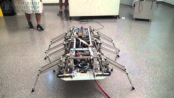 Hexapod II - Virtual versus Real Motion