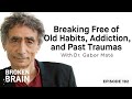 How To DESTROY BAD HABITS & Turn Your Life Around TODAY! | Dr. Gabor Maté