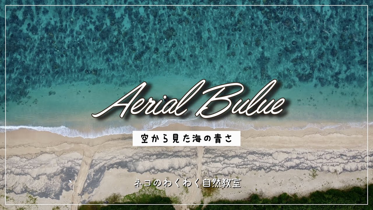 4K・沖縄の海・空撮】ヒーリング・サンゴ礁・ドローン・やんばる国立