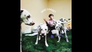 Rex orange county- THE SHADE