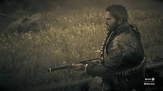 Red Dead Redemption 2 Arthur Revive's Bill's Horse Brown Jack