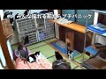 地震で揺れる前から異変に気づいた猫たちの様子