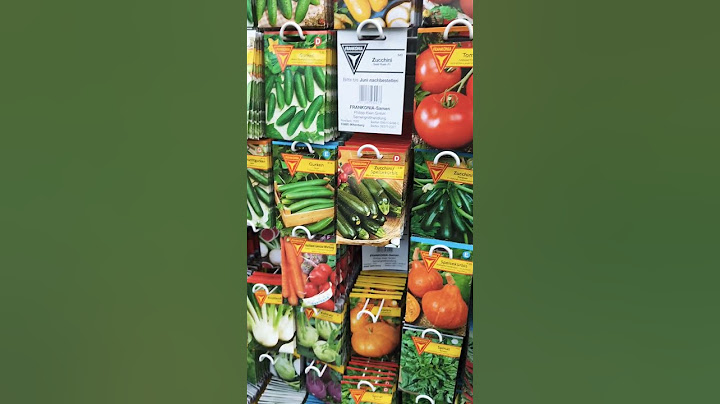 Aussaat Gemüse und andere leckere Sachen #körner #samen #pflanzen #garten #beet