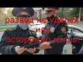 Развод не удался, или осторожно мышь.